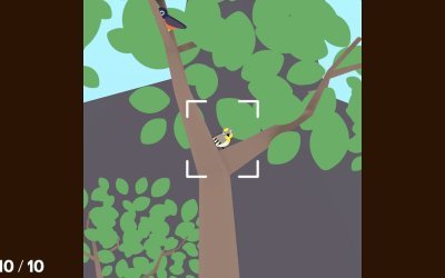 Flock Around