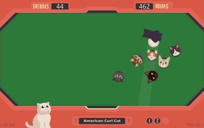 The Cat Games