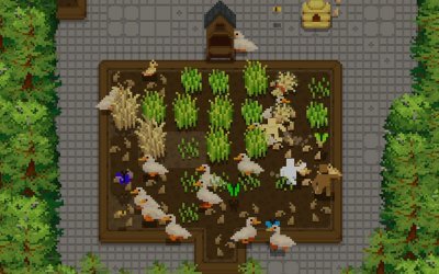 Tiny Terraces