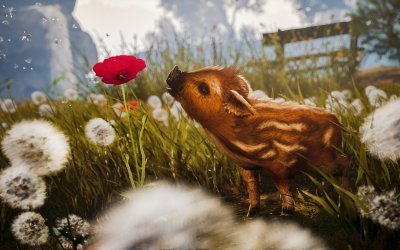 Adorable Adventures