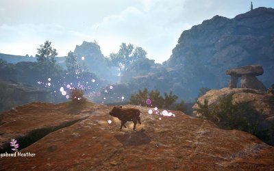 Adorable Adventures
