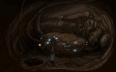 Primordia