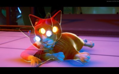 Schrodinger's Cat Burglar