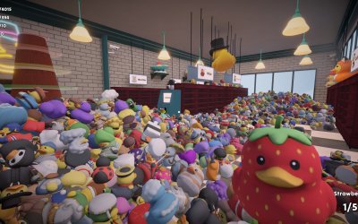 Sort Them Ducks