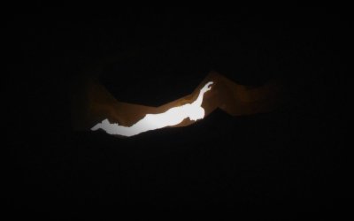 The Cave Diver