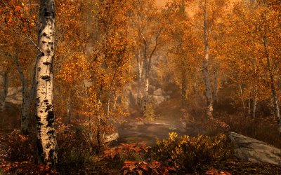 The Elder Scrolls 5: Skyrim Special Edition