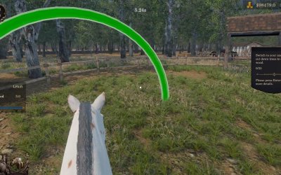 Medieval Horse Dealer Simulator